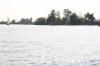 NIEUWKOOP 09-2008 215.JPG